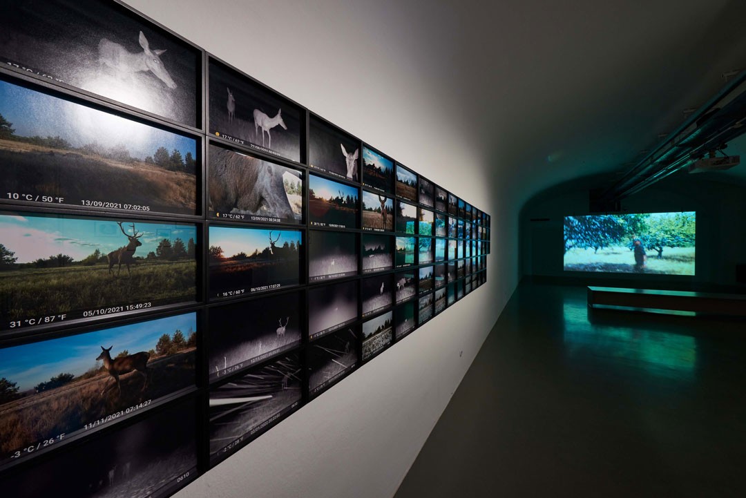 <BODY><div>MAK exhibition view, 2022</div><div>ANNA JERMOLAEWA. Chernobyl Safari</div><div>MAK GALLERY</div><div>© MAK/Georg Mayer</div><div> </div></BODY>