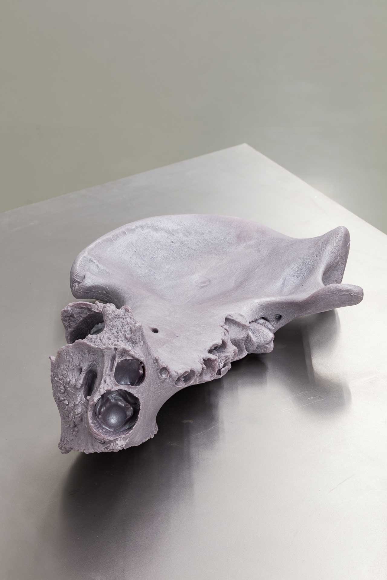 <BODY>Ausstellungsansicht CLIMATE PANDEMICS. Dark Euphoria Kerstin von Gabain, Jaw bone (hippo) #1, 2021 © kunst-dokumentation.com/MAK </BODY>