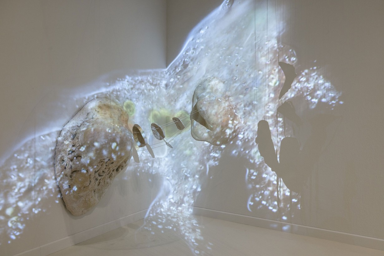 Ausstellungsraum mit Installation: 40.000-fache Vergrößerung einer Amöbe