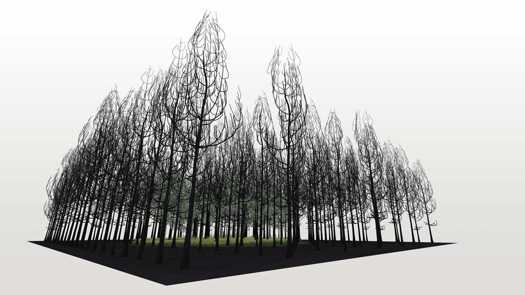 <BODY><div>Superflux, The Possibility of a Forest, 2021</div><div>© Superflux </div><div> </div></BODY>