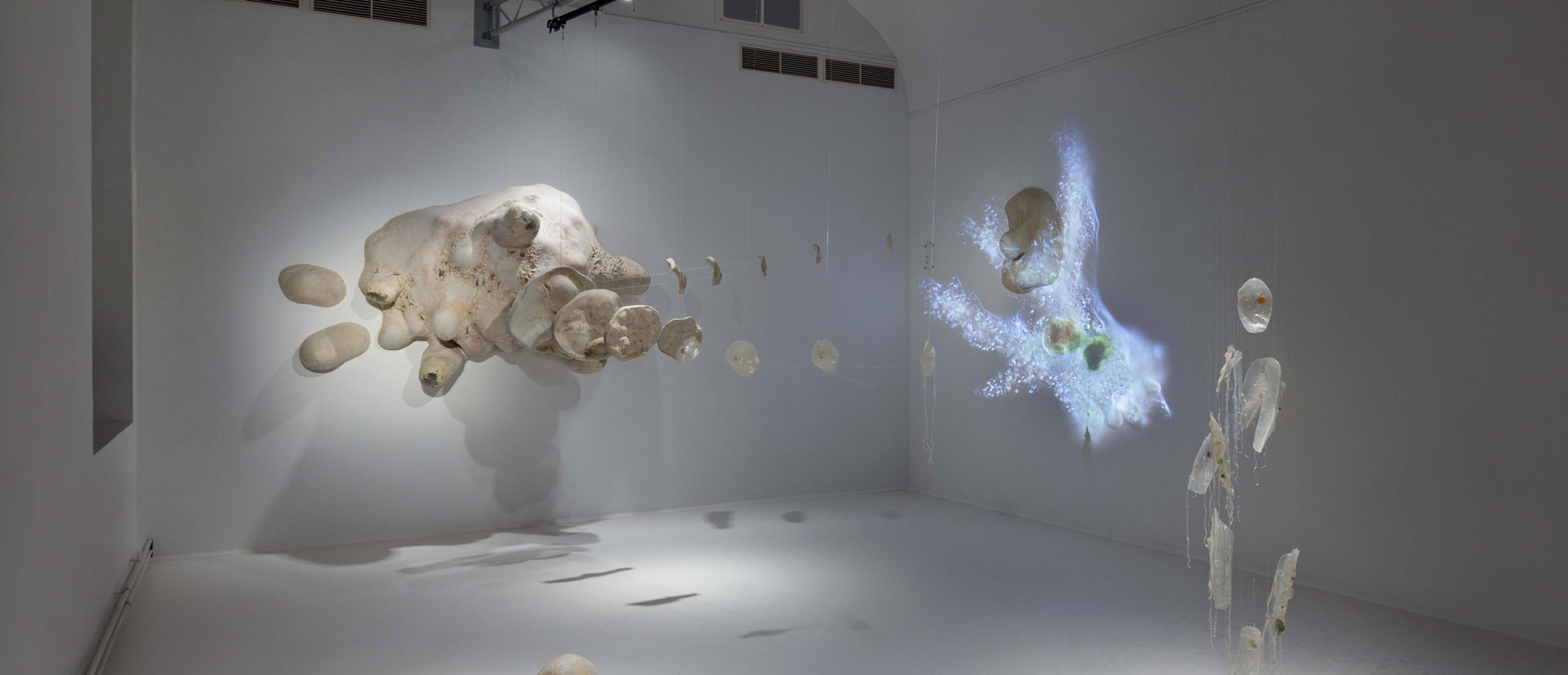 Ausstellungsraum mit weißen Wänden, darin aufgestellt, hängend und an der Wand: 40.000-fachen Vergrößerung einer Amöbe