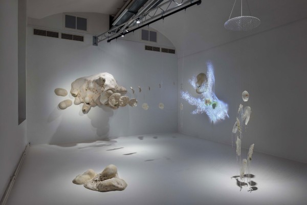 Ausstellungsraum mit weißen Wänden, darin aufgestellt, hängend und an der Wand: 40.000-fachen Vergrößerung einer Amöbe